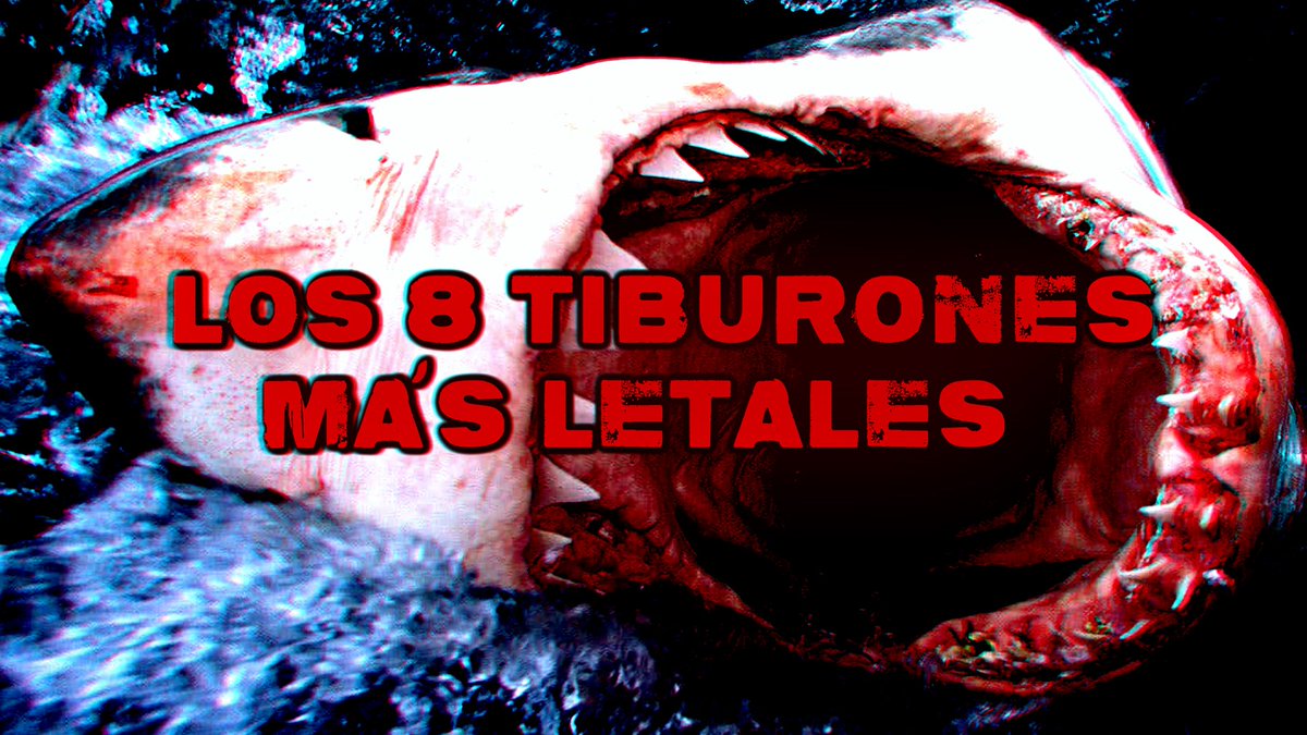 TheEddFiles's tweet photo. Aquí el link:
https://t.co/pJCWbbRiHE https://t.co/x9c77Q53si