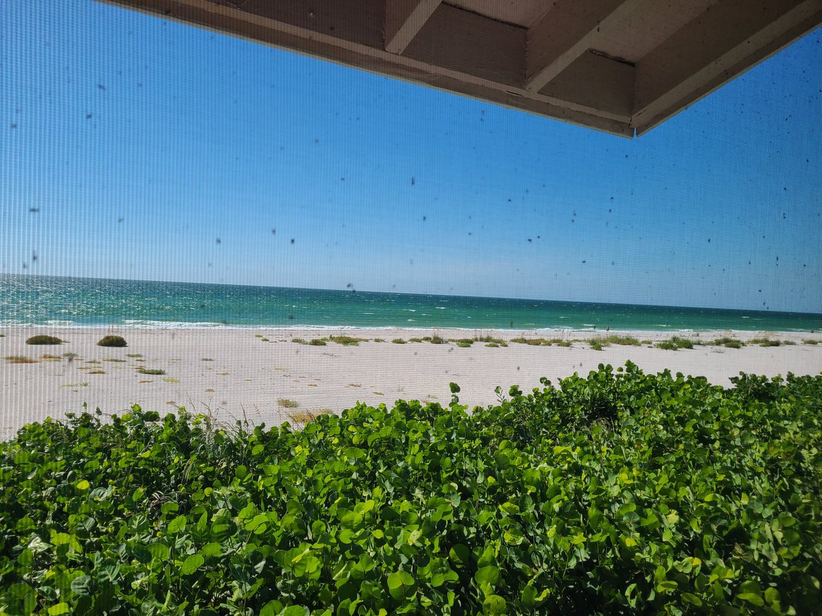 3 years ago Ian 170 mph. 1 year ago Milton 4 feet of water. Boca grande in chambls. We're back. The turtle eggs  by the gulf of Mexico will hatch and their life begin. Mother Nature would rather give than take. It's up to us to help her.