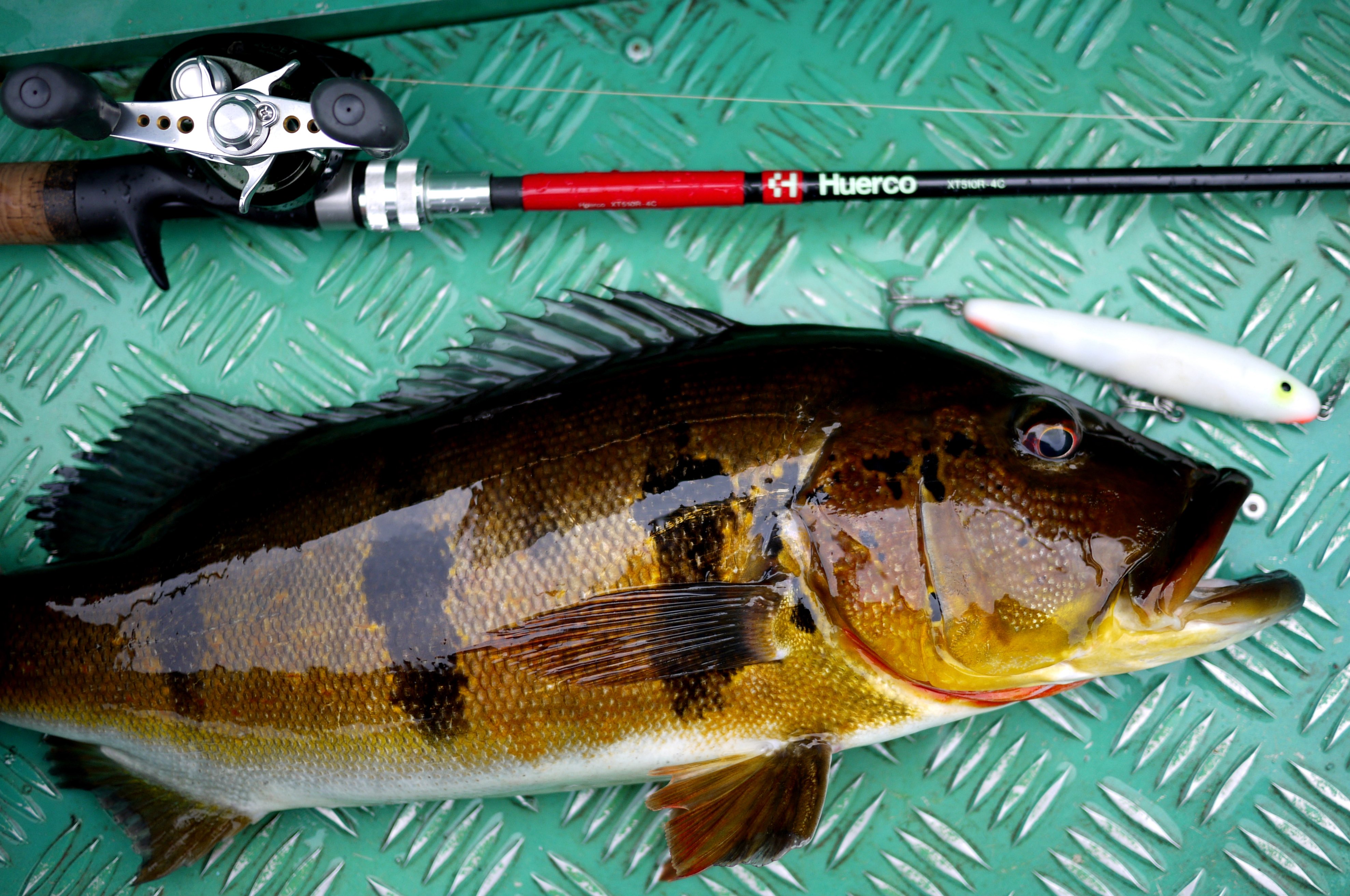 フエルコ公式 (@Huerco_jp) / X