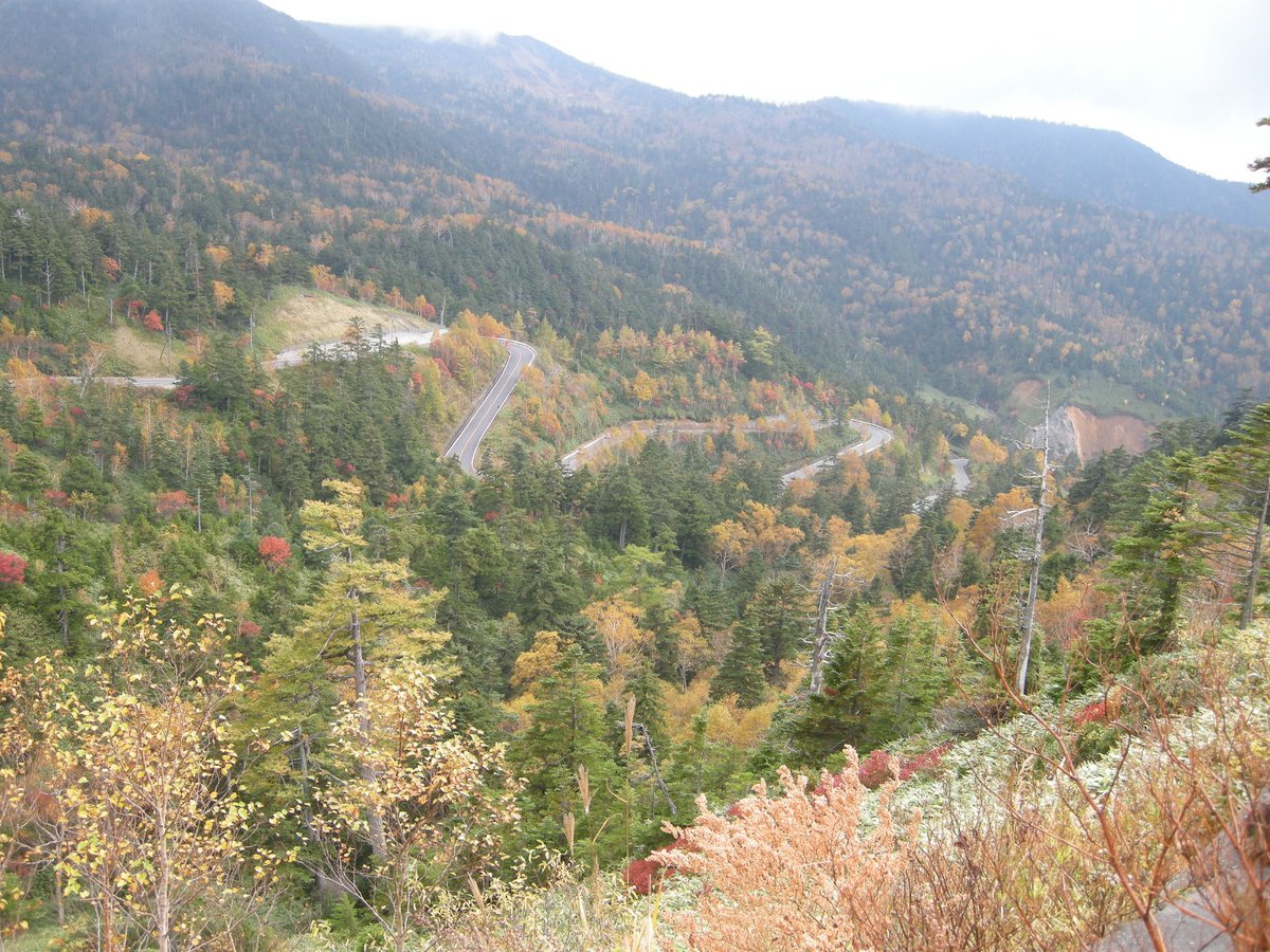 kanegonmugisyu's tweet image. #ツーリング の思い出

2010年10月13日(水)は「志賀草津道路」を走行。
曇っていましたけど、紅葉が美しくて最高でした！
今年の秋も必ず行きたいルートの一つですね♪

#バイク乗りと繋がりたい