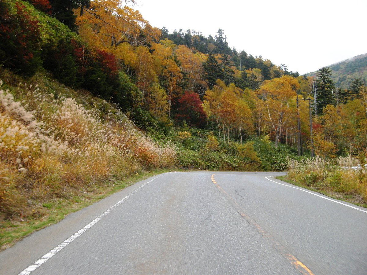 kanegonmugisyu's tweet image. #ツーリング の思い出

2010年10月13日(水)は「志賀草津道路」を走行。
曇っていましたけど、紅葉が美しくて最高でした！
今年の秋も必ず行きたいルートの一つですね♪

#バイク乗りと繋がりたい