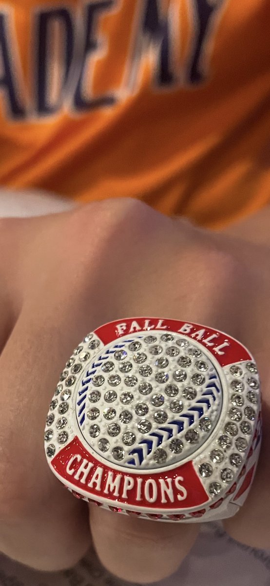 🏆Congratulations to 14u-15u Academy Wolves for winning the VSP Fall Ball Championship!   #academywolves #3OA