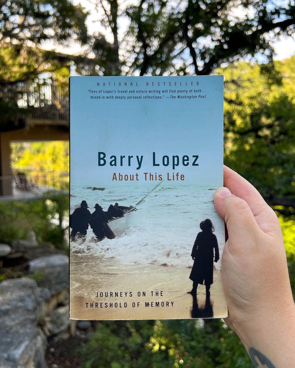 Timothy Hoiland tweet media