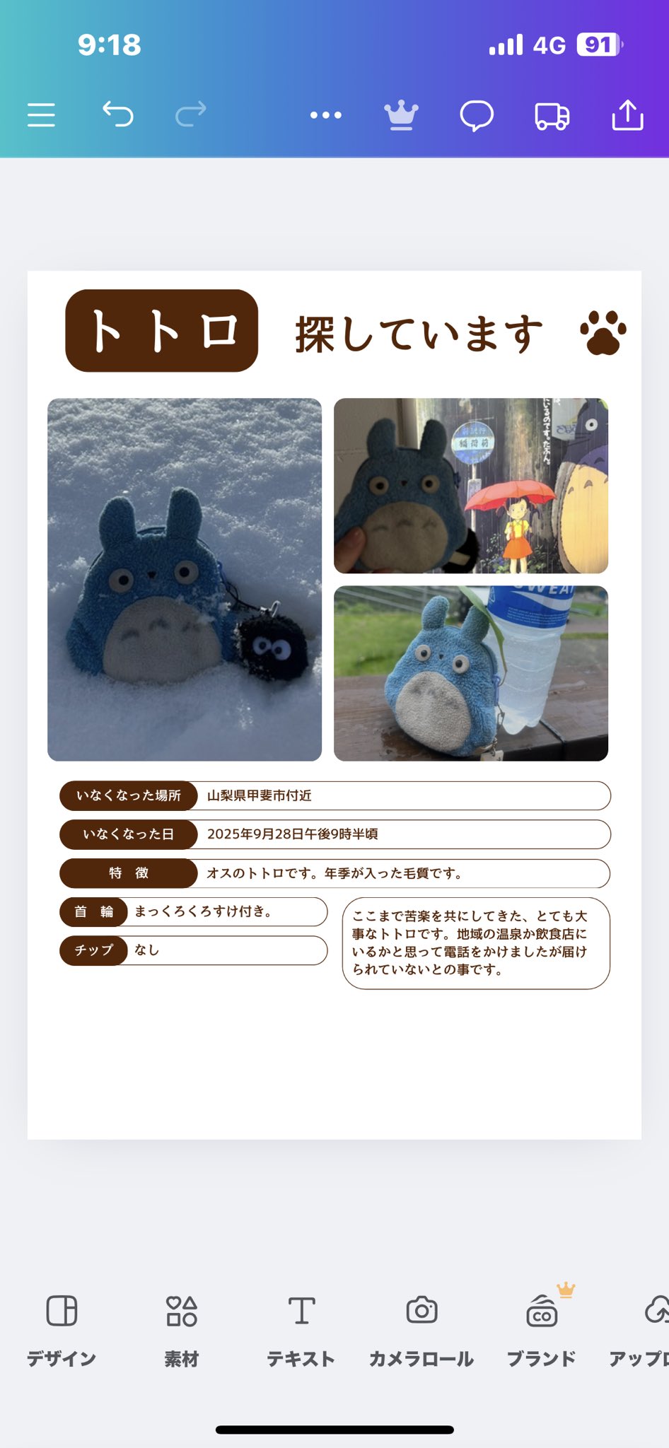 ⭐︎新品未使用⭐︎トトロ 大量 おまとめ 早川瞳 on X: