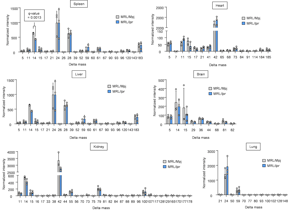 【研究成果】自己免疫疾患に関連したタンパク質翻訳後修飾異常の発見
a.u-tokyo.ac.jp/topics/topics_…
#東京大学 #農学部 #タンパク質 #SLE治療法 #マウス #応用生命化学