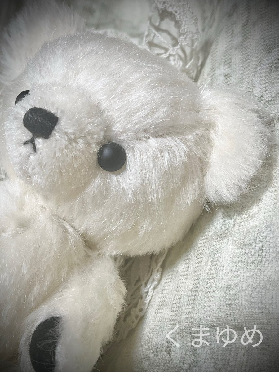 ハンドメイド　テディベア etc.  chiruku断捨離中 ハンドメイド テディベア etc. chiruku断捨離中様専用