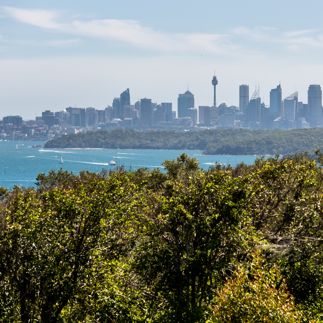 Harbour Trust tweet media