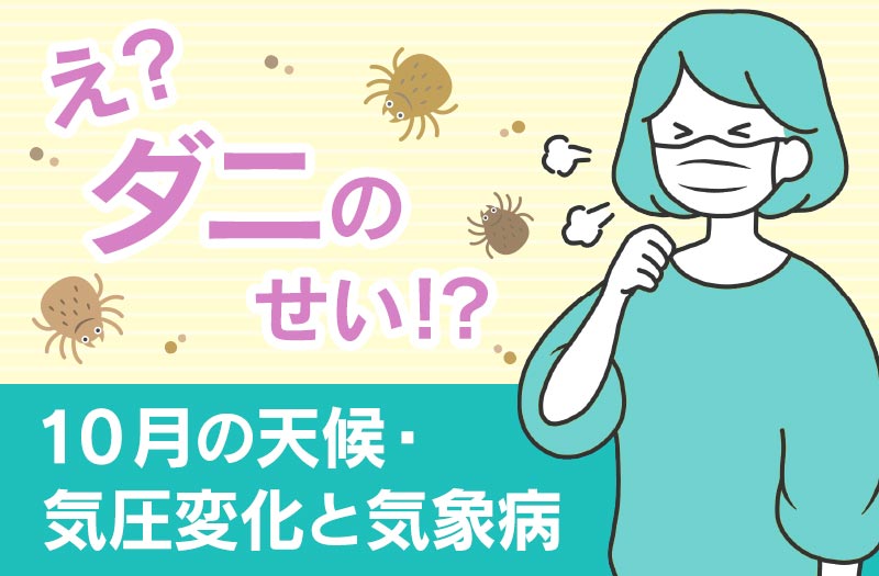 🍂10月は『ぜんそく・体の冷え』に注意
zutool.jp/column/basic/p…
秋はぜんそくの発作を誘因するダニやハウスダスト、花粉が増える時期です。また、日中と朝晩の気温の差が大きく、自律神経のバランスが乱れやすくなり、体の冷えが起こる原因にもなります。
