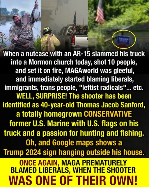 TimmyBermuda's tweet image. 