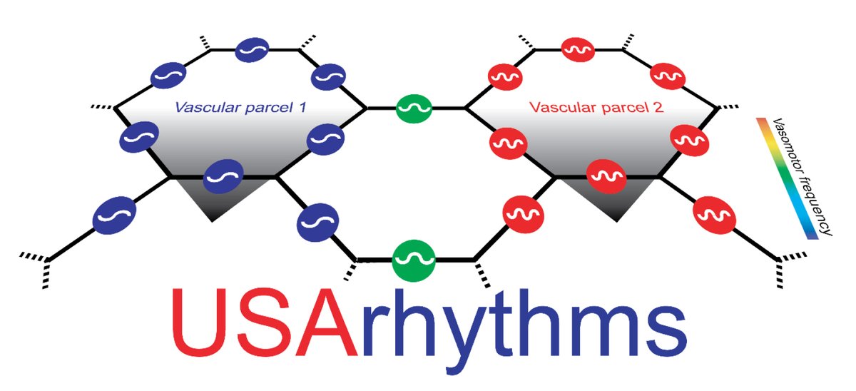 Anna Devor tweet media