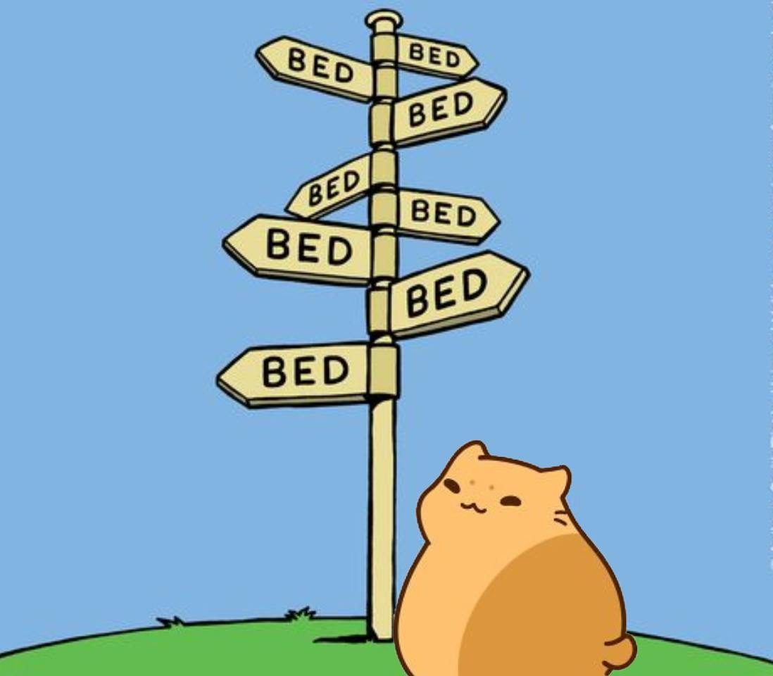 Happy Sunday, Bichi Gang - Hope everyone is getting some good rest in before the week starts!