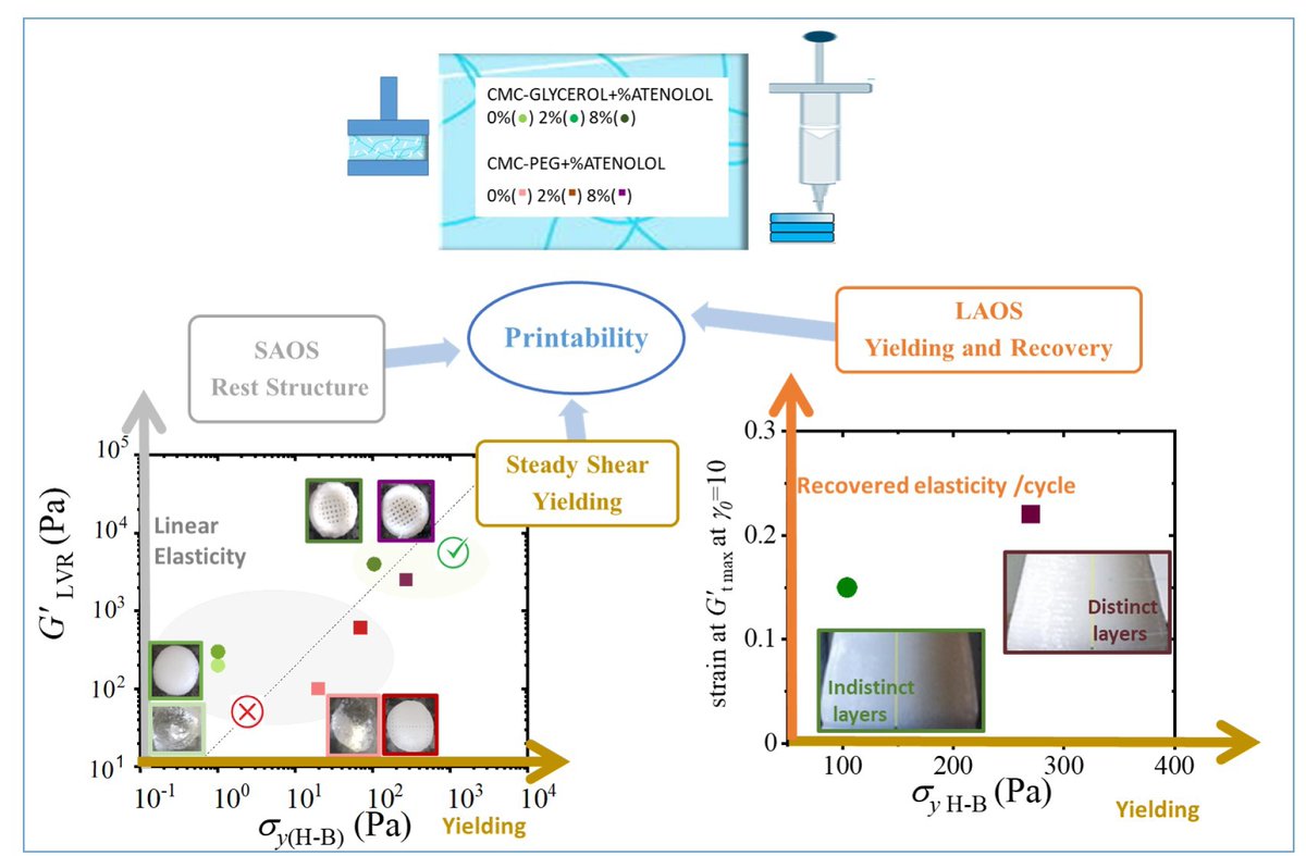 Gels_MDPI's tweet image. 📍#EditorChoiceArticles 

📕Rheological Insight into the 3D Printability of Carboxymethyl Cellulose-Based Hydrogels

✍️Itziar Insua, Robert Aguirresarobe, Mercedes Fernández et al.

🔗mdpi.com/2310-2861/11/4…

#hydrogels #3D_printing #yield_stress #viscoelasticity