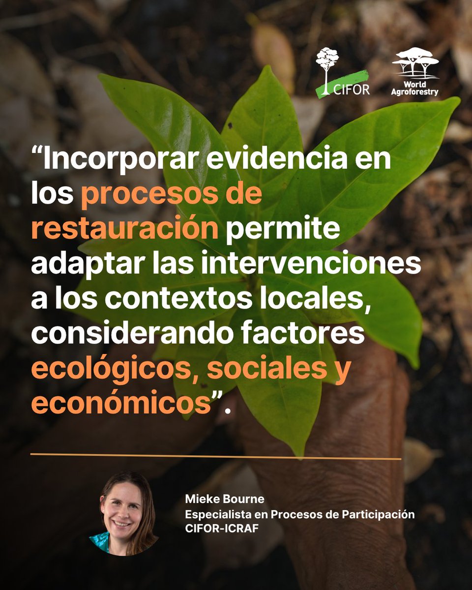 🌱¿La restauración se basa lo suficiente en evidencia?

Ante el avance de la crisis climática, es clave pasar de la urgencia a la efectividad, con ciencia y saberes locales.

Mieke Bourne (CIFOR-ICRAF) comparte 7 claves para lograrlo.

🔗 bit.ly/3HUrllS