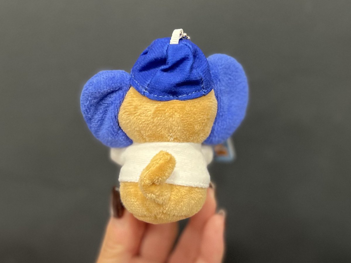 再入荷情報🐨 ＼ 『マメしば』1,540円(税込) 大人気の旅するマメしばの