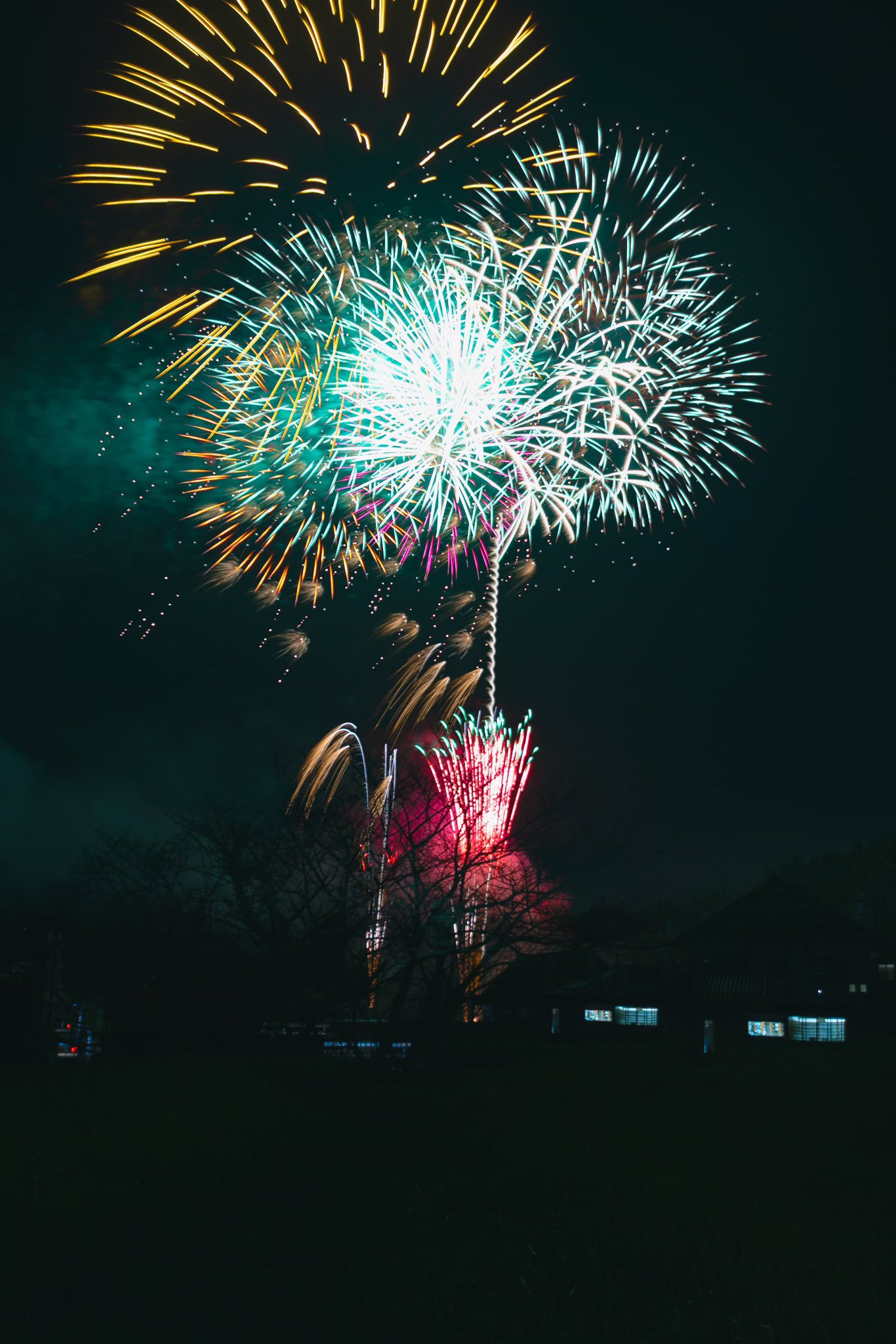 花 風景 （I） 567071.jpg