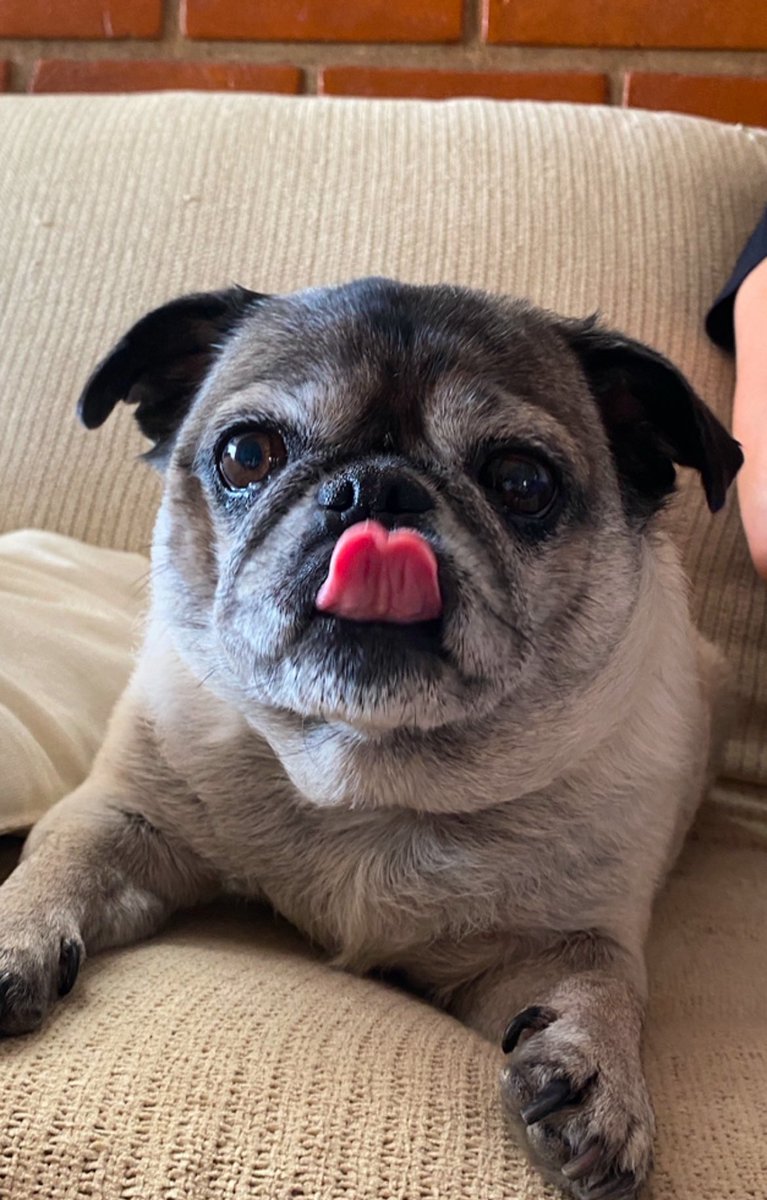 loren ☆🔮 tweet media