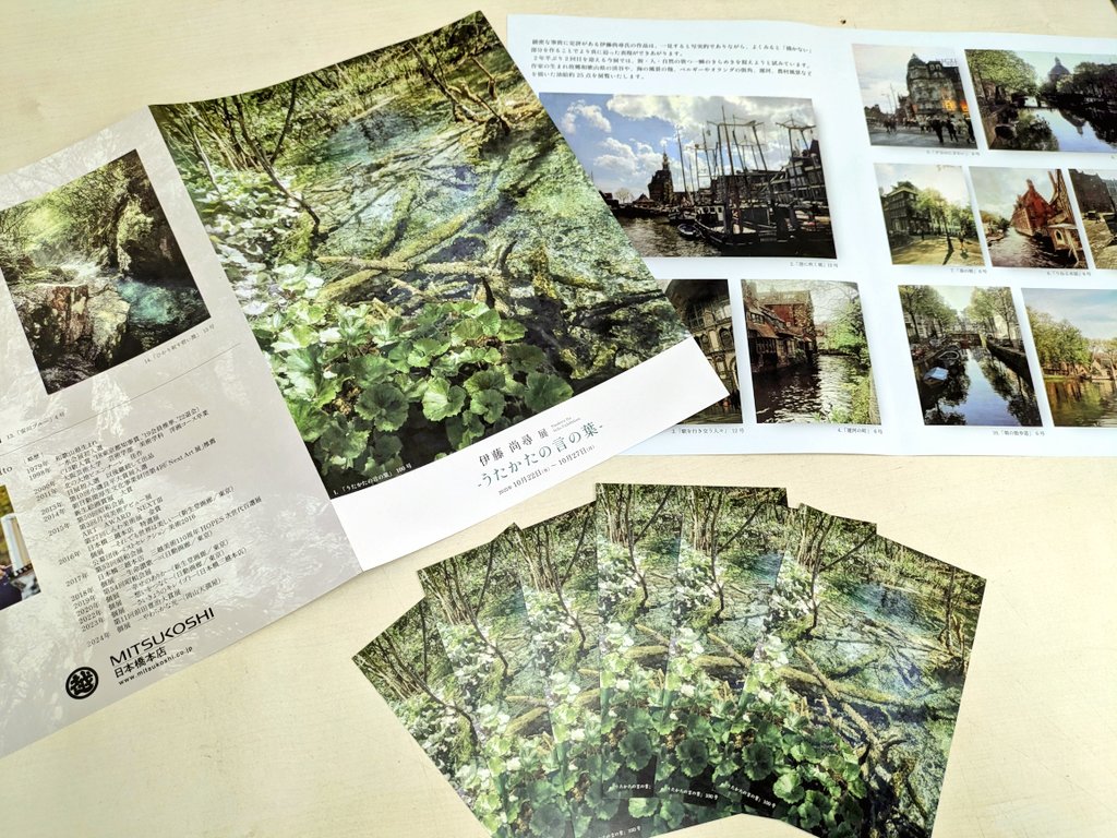 [未使用]日展史　全１５巻セット　社団法人日展 日展史(日展史編纂委員会) / 古本、中古本、古書籍の通販は