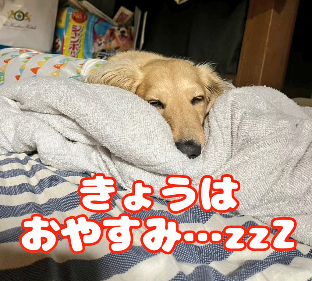 maruna74en's tweet photo. 【臨時休業のお知らせ】

《9/29(月)》は《⚠️臨時休業⚠️》です！

次回営業日は〔10/4(土)〕を予定しております。
本年度最後の営業になるかもしれませんのでお心残りのないようにご来店ください🙏✨
なお、袋梨のご予約は受付終了となっております。ご了承ください。 https://t.co/nv3ZLCARLh