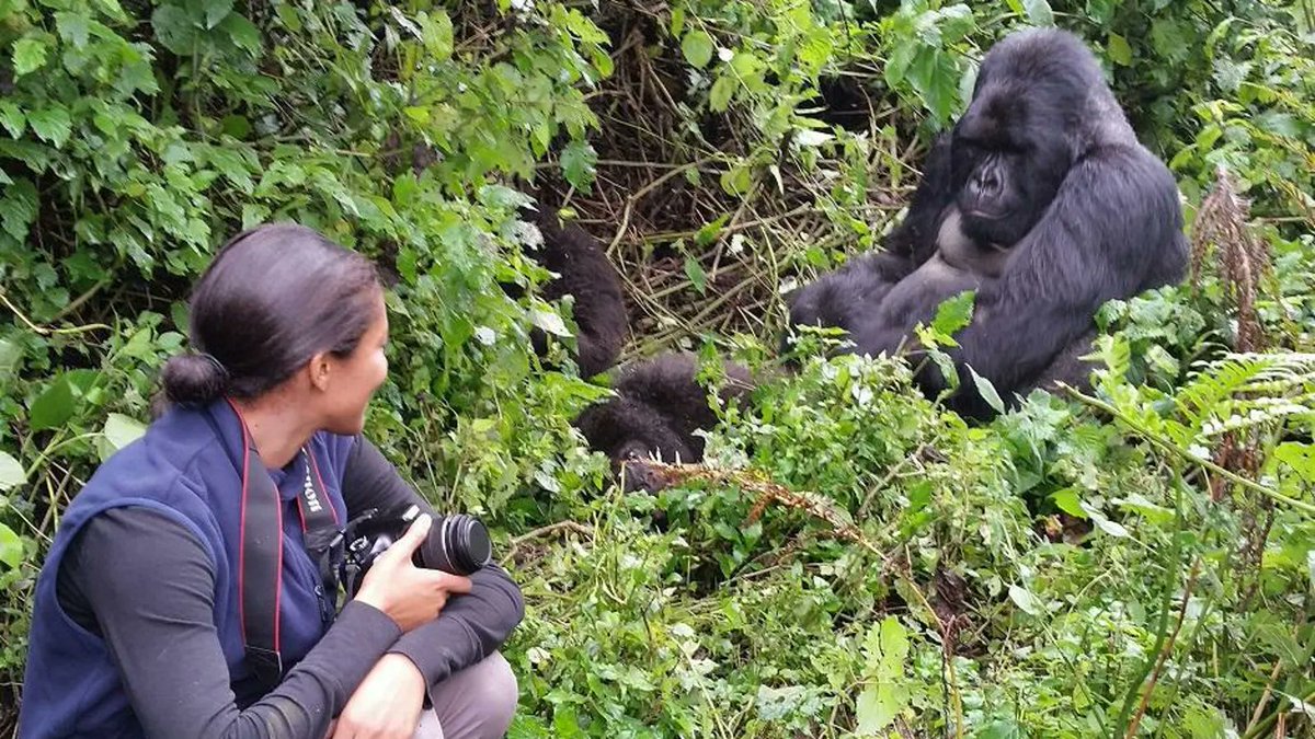 DagizTravel's tweet photo. ⚠️ Primate Trek Safety Tips 🦍

✔️ Stay 7m away
✔️ Follow ranger’s lead
✔️ No flash photos
✔️ Don’t eat near primates
✔️ If charged: crouch, don’t run
✔️ Never touch primates
Respect = Safety + Conservation 🌿
#DagizTravel #UgandaTravelTips https://t.co/8crZ2RivNy