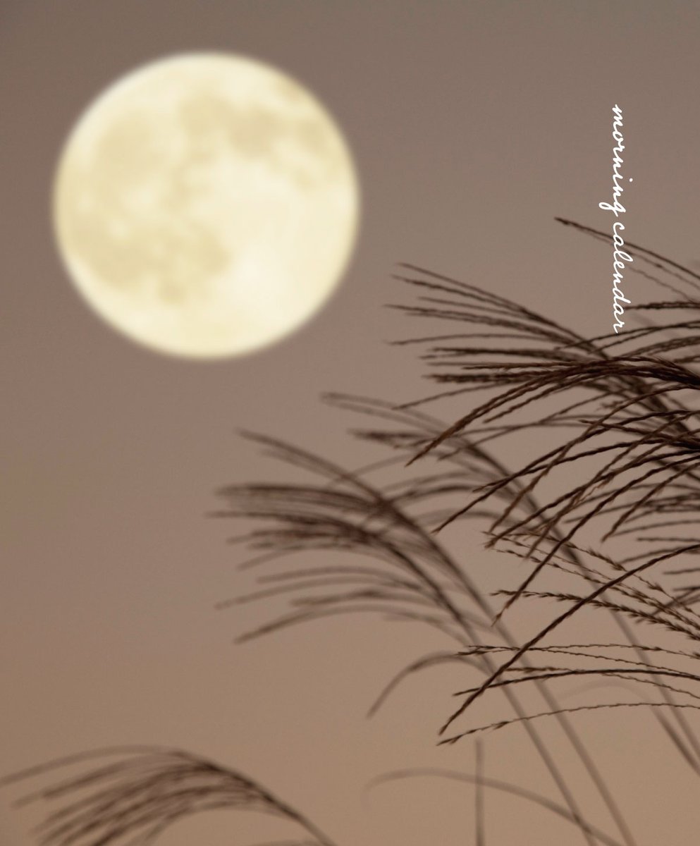 543life's tweet image. 名月（めいげつ）｜朝の日めくり

&quot;春夏秋冬、どの季の望月も見事ですが、中秋の名月は格別とされてきました。&quot;

▼朝の日めくり【2026】発売中
543life.com/i/1000000006001