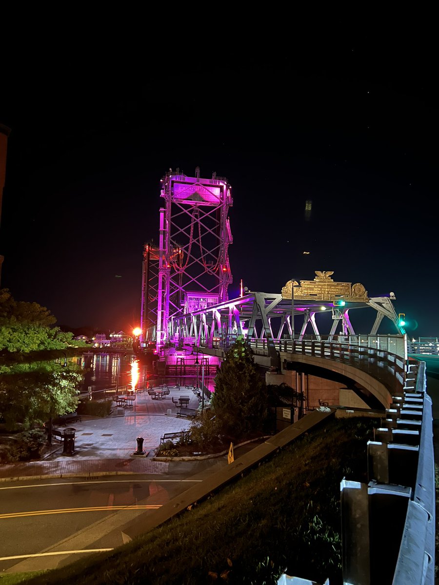 Brad Hamilton tweet media