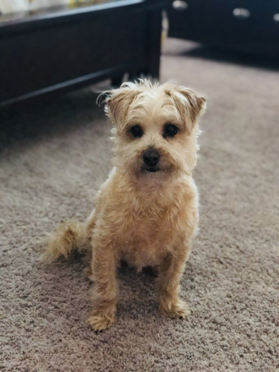 fab5jones tweet media