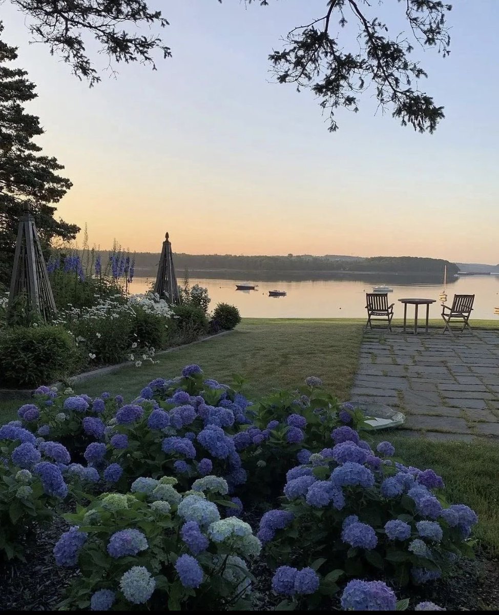 God walks very quietly 
through our hearts. 

One must pay attention to the 
quiet sound that he lives behind🪶

Dragonfly ~