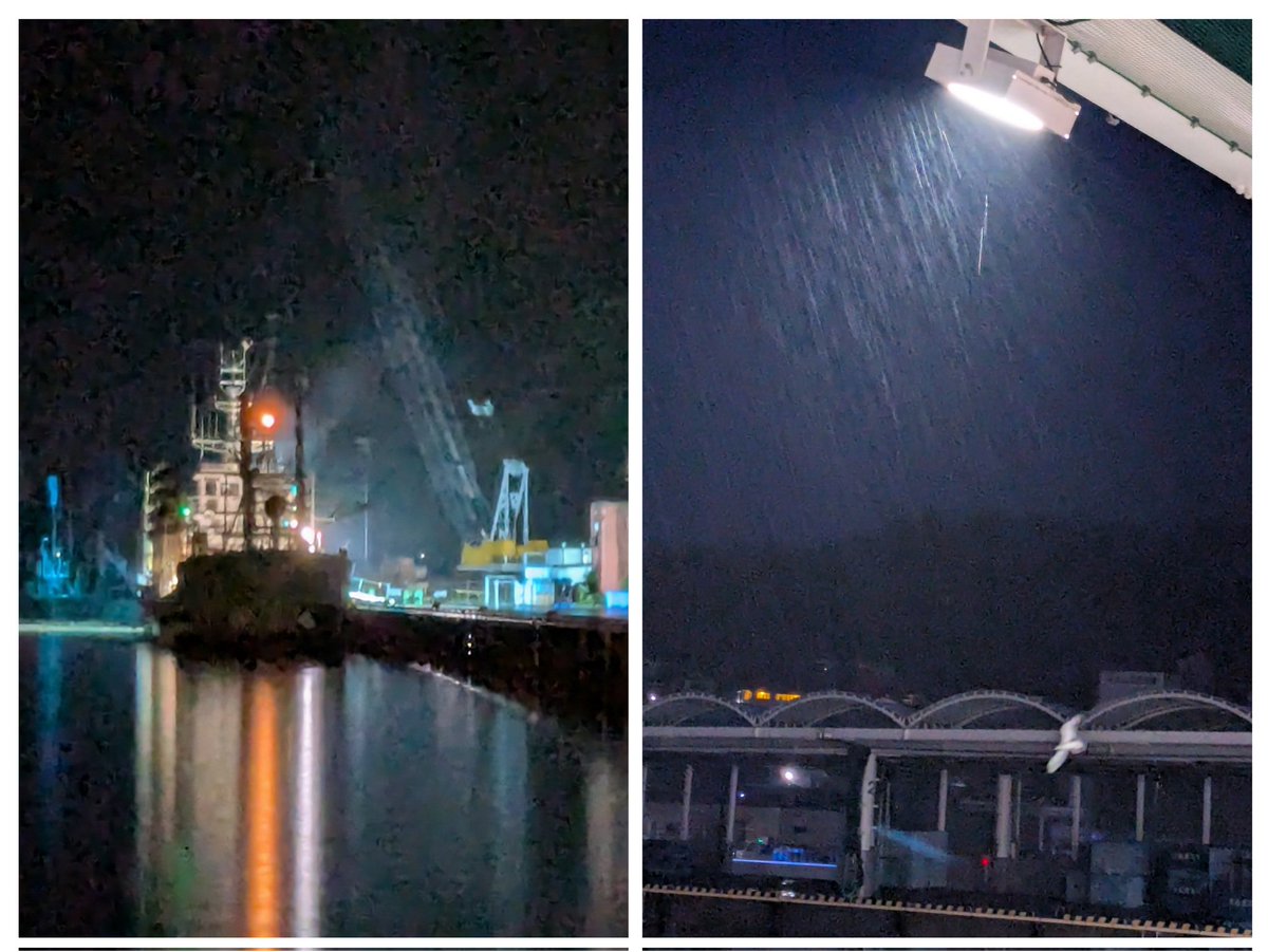 rf900rw34's tweet photo. 朝のうち雨。今曇ってます。
しかし、何もない。サンマなし、スルメなし。
定置は、サバブリ少々。
#スズキ #TS90 #バイク #ツーリング #ホンダ #カブ #ハーレー #FLST #ネコ #ウニ https://t.co/pZjL32AkzX