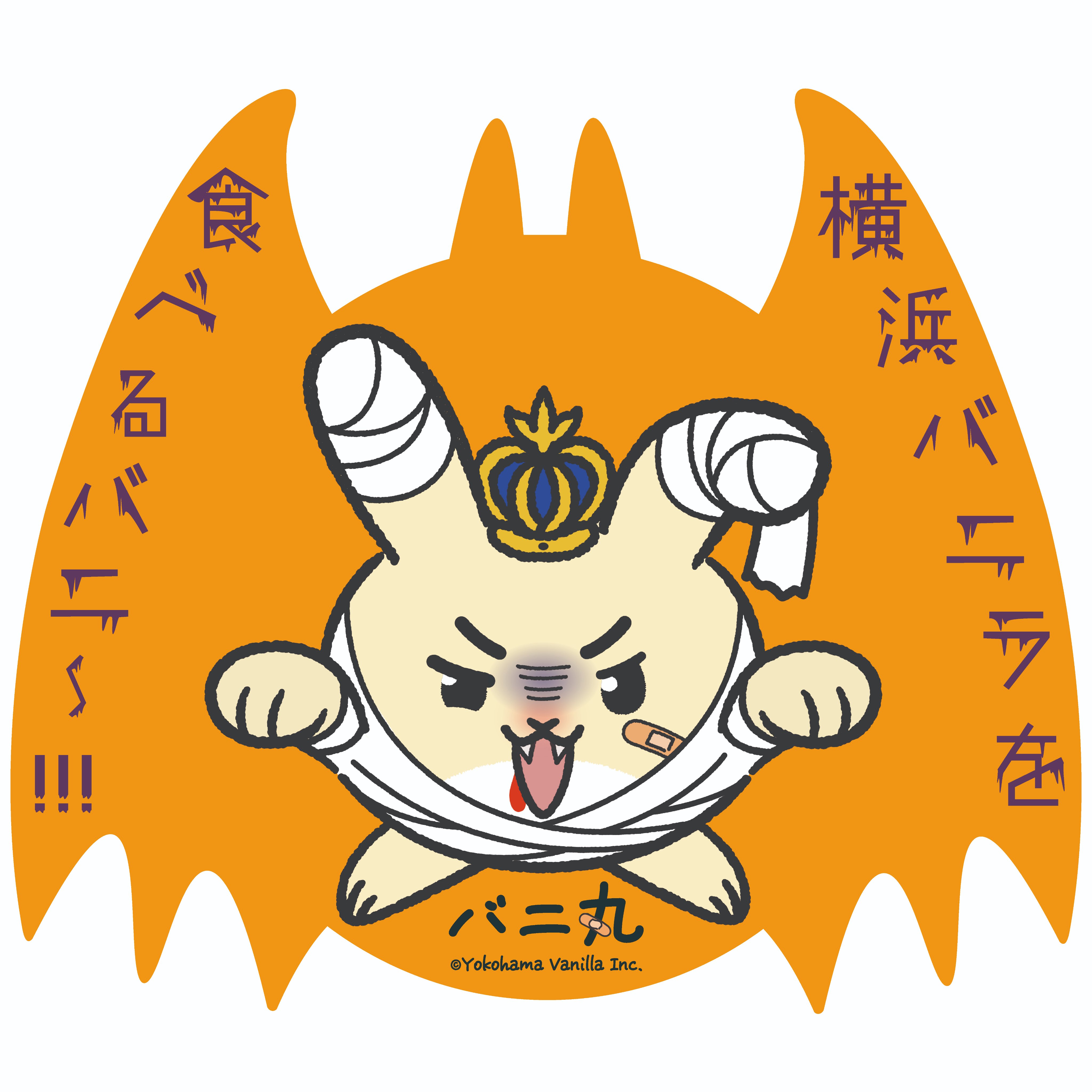 あゅみんページ ペンケース（ペンポーチ・筆入れ）｜メッシュペンケース 黒A