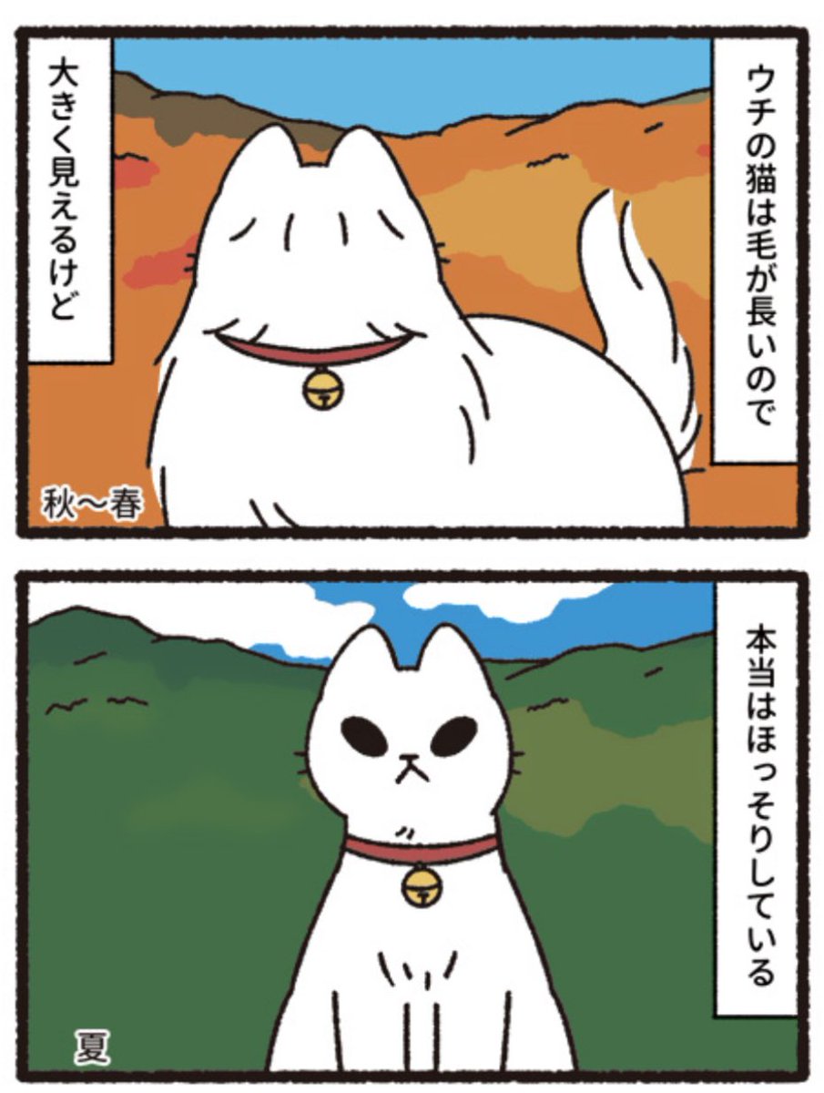 ねこようかい_公式 (@nekoyoukai_pr) / X