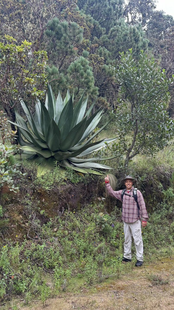 rafacids's tweet image. Desayuno en familia 💥