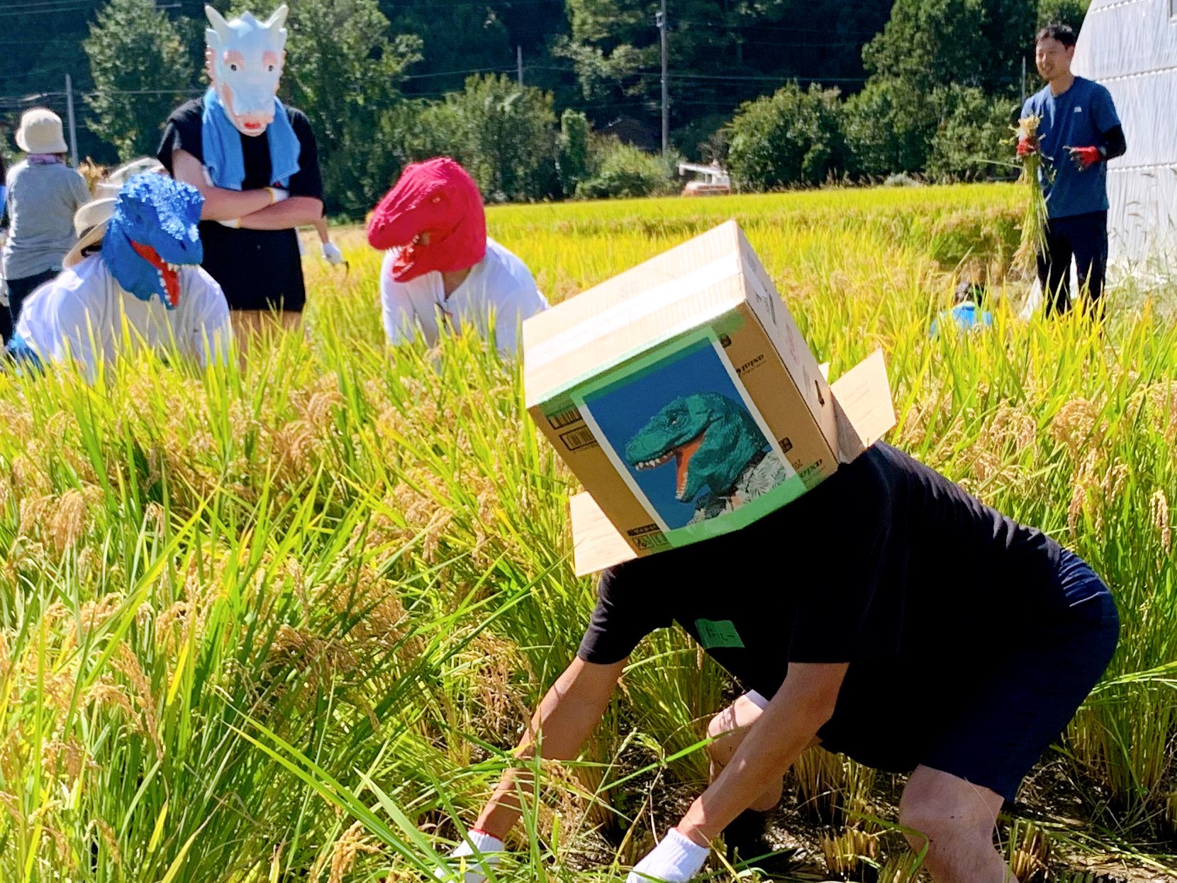 にっしー＠農家 (@nissy_farmer) / X