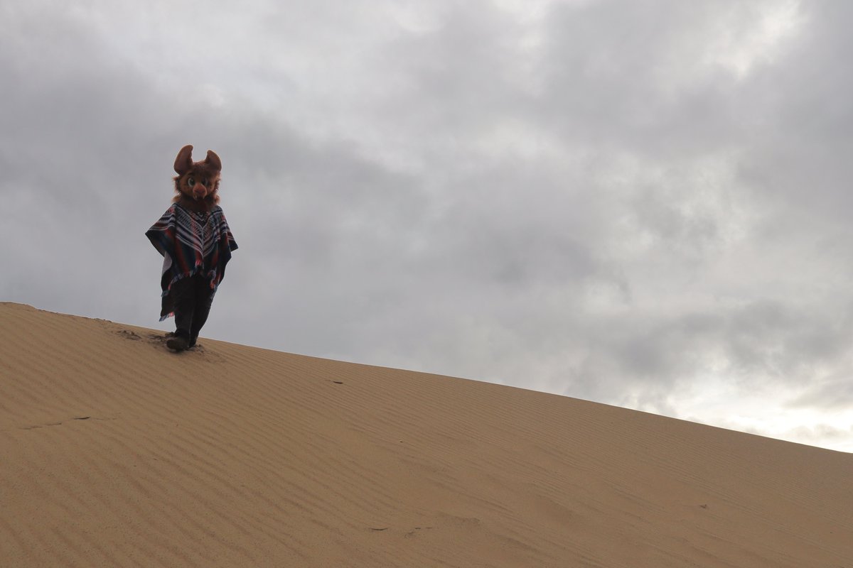 I've been through the desert on a llama with no name.