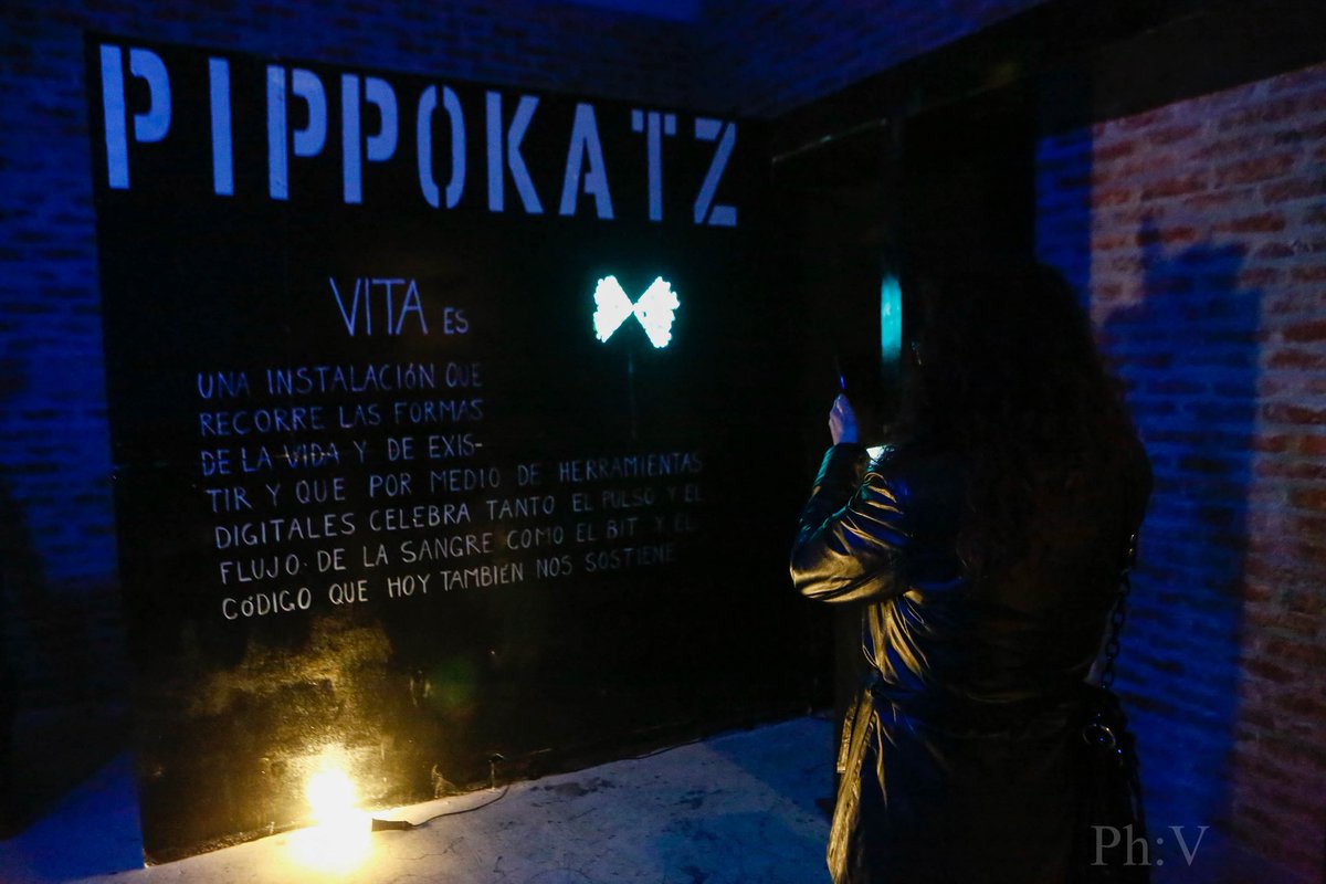 Vení a disfrutar de más de 100 artistas dándolo todo en ArtFlow Experience 
Desde PippoKatz estamos presentando la instalación híbrida VITA del 29/9 al 5/10
💯 Entrada libre y gratuita 
📍Don Bosco 4053, Almagro