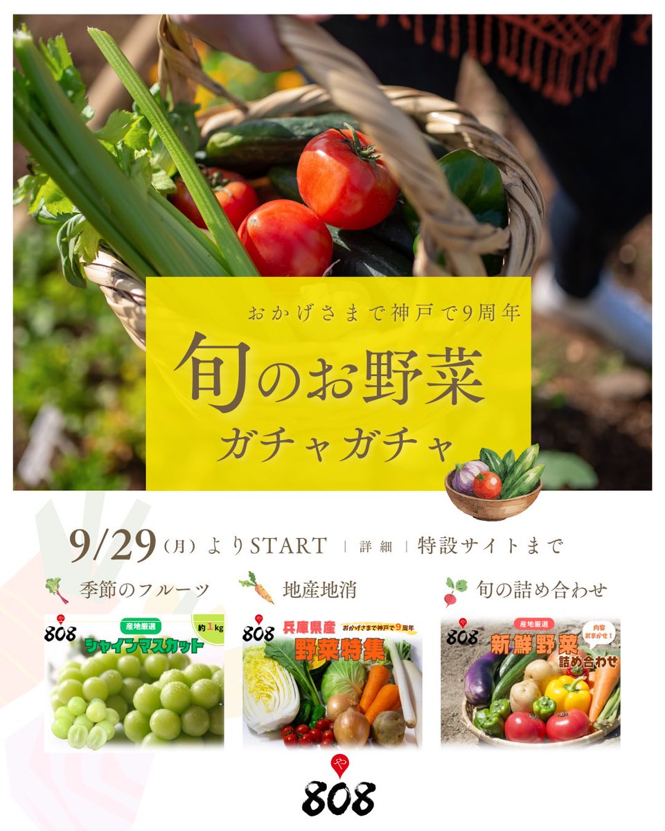 旬の果物〜青果市場直送 楽天市場】【ふるさと納税】【山田青果店】旬の野菜＆フルーツ