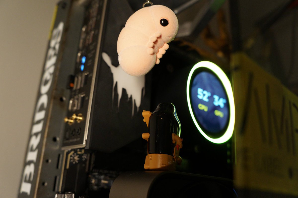 ✨️ new setup ✨️
 Death Stranding
