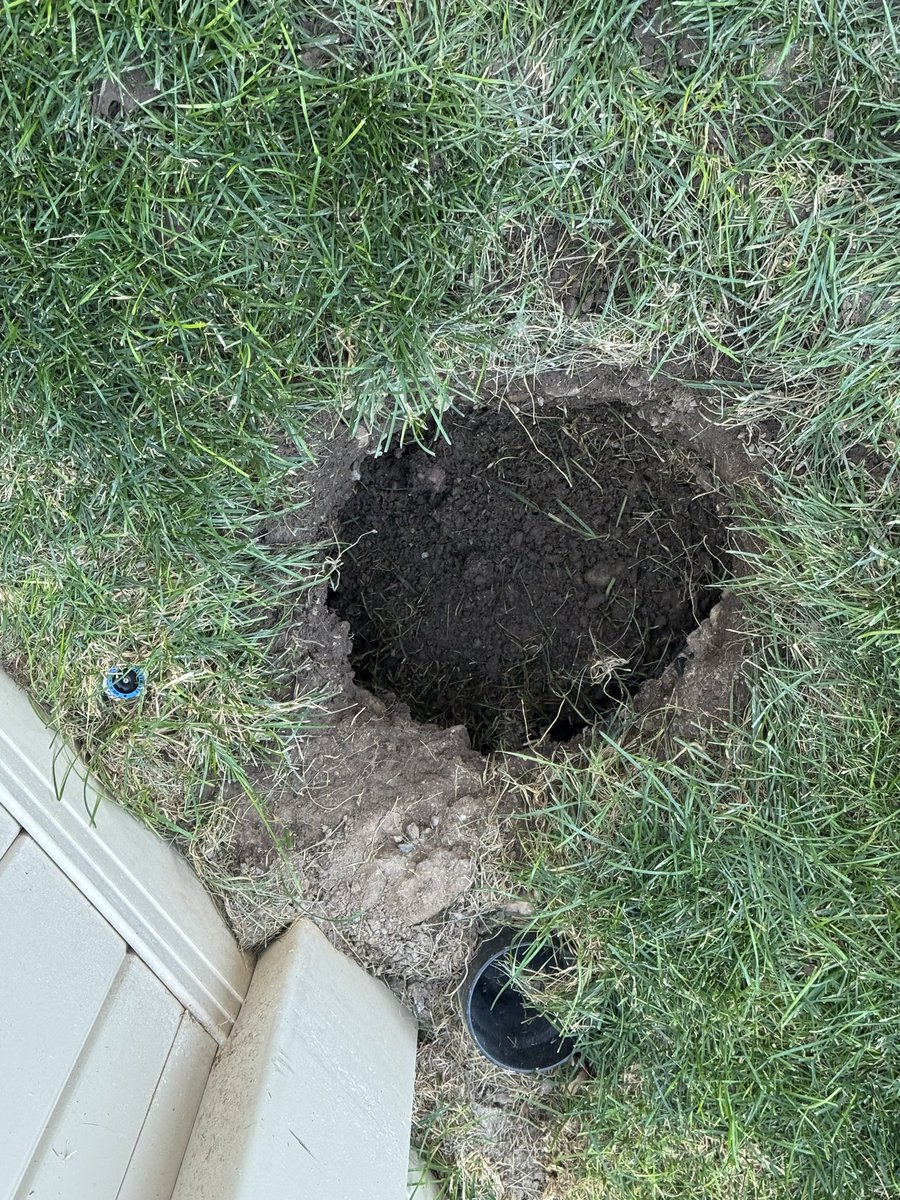 Sturgill and Adonis dug a hole to bury the Cowboys carcass. I felt that was a little extreme so I needed to fill it in.