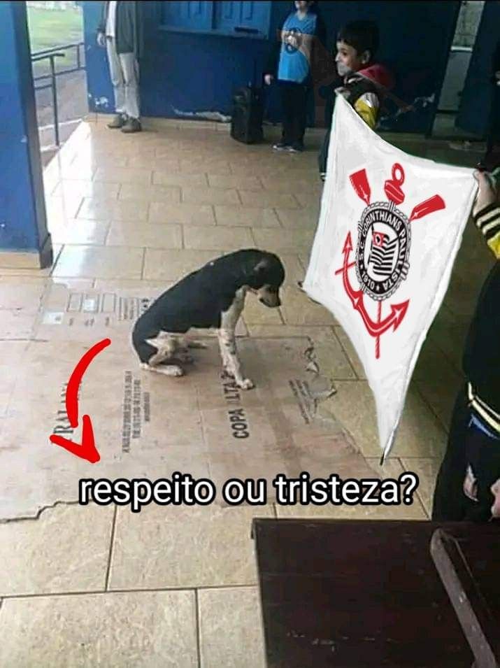 lgiov_'s tweet image. 