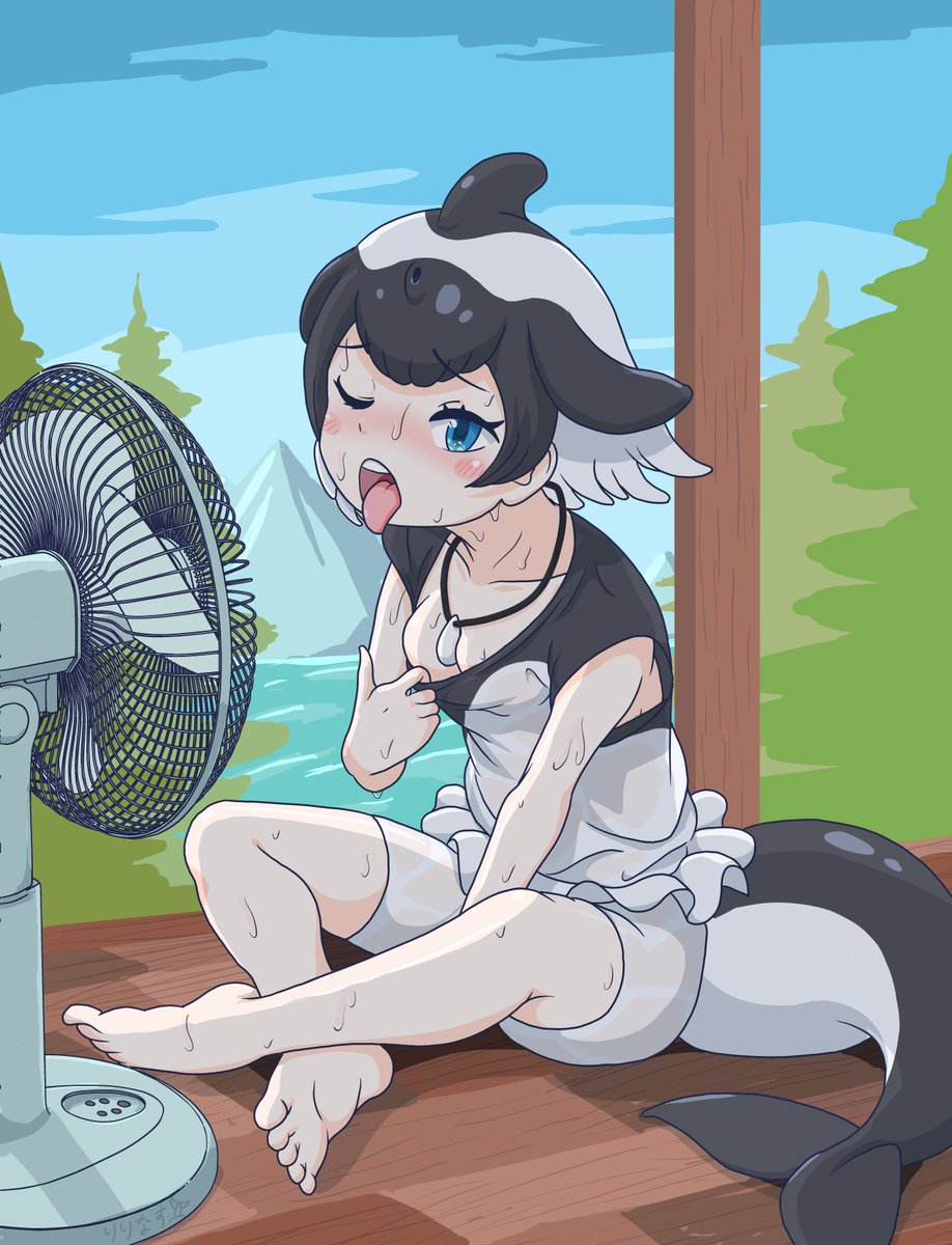 9月のイロワケちゃん☀️🐬🖤🤍
昼間はまだ暑い！