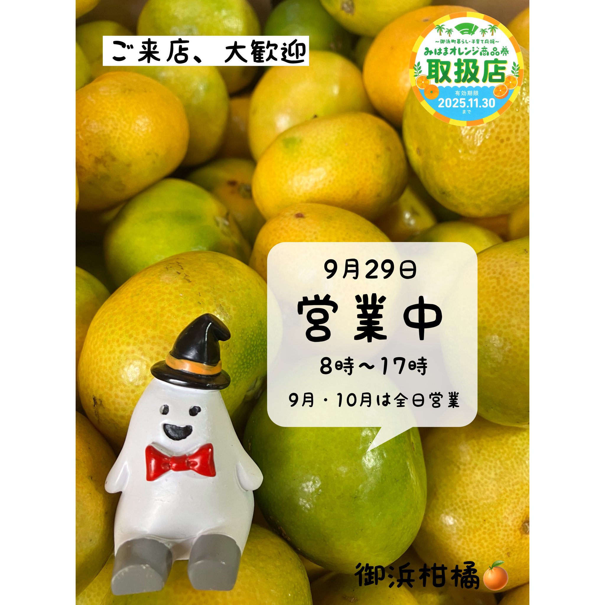 リピーター様みかん様御購入品☆ こだわりみかん”の御浜柑橘 on X: 