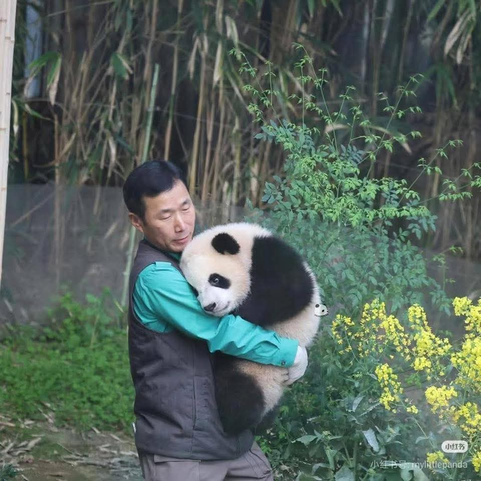 kate68_102's tweet image. 