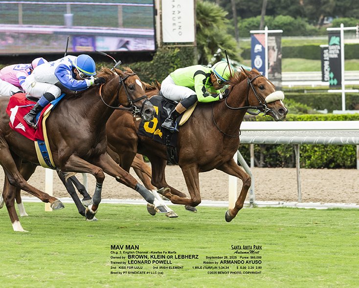 Mav Man breaks his maiden <a href="/santaanitapark/">Santa Anita Park</a> against a full field of seasoned <a href="/CTBACalbred/">CTBACalbred</a> , under <a href="/ArmandoAyuso2/">Armando Ayuso</a> . This son of <a href="/CalumetFarm/">Calumet Farm</a> English Channel is homebred for winning owners Ed Brown, Alan Klein and Phil Lebherz . Congrats to them and Mersad, and Thanks to all involved