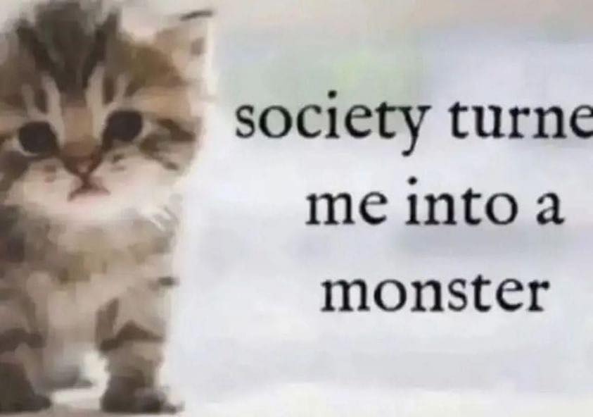 PunchingCat's tweet image. 