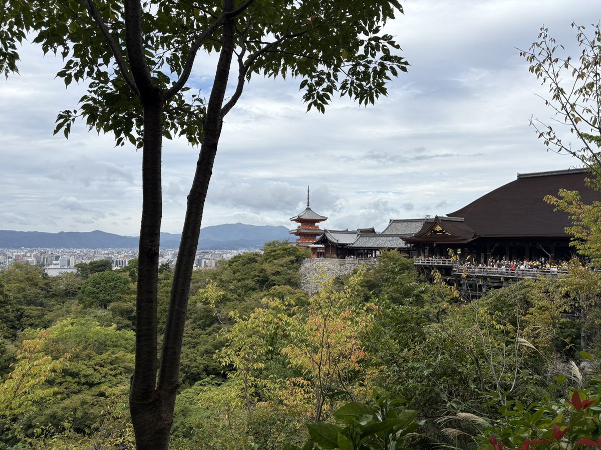 810504's tweet image. 