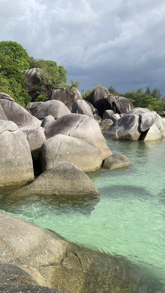 sunfleurst's tweet image. My life outside twitter🍃🏝️