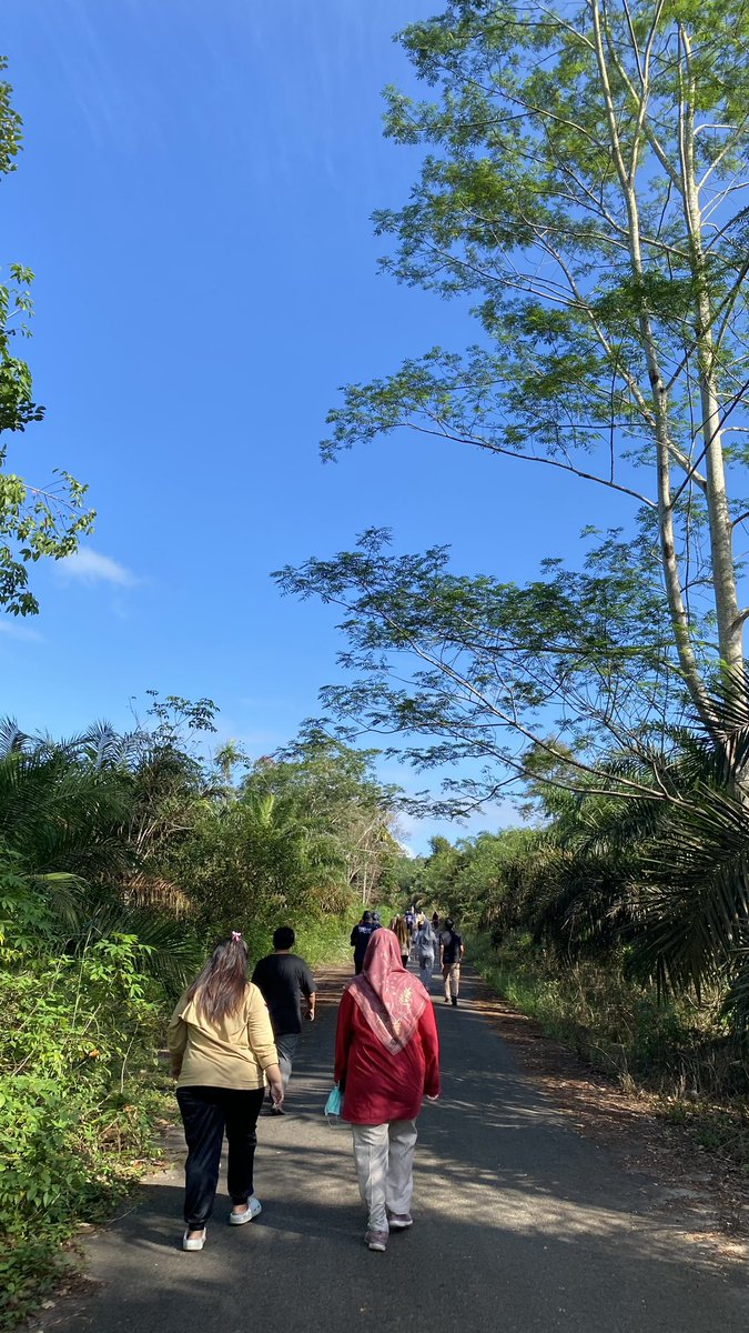 sunfleurst's tweet image. My life outside twitter🍃🏝️