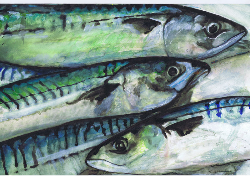 Vivid Mackerel Watercolour Art Print by Jack Tarpon dogfishart.com/products/vivid… #painting #OscarJetson #FishingArt