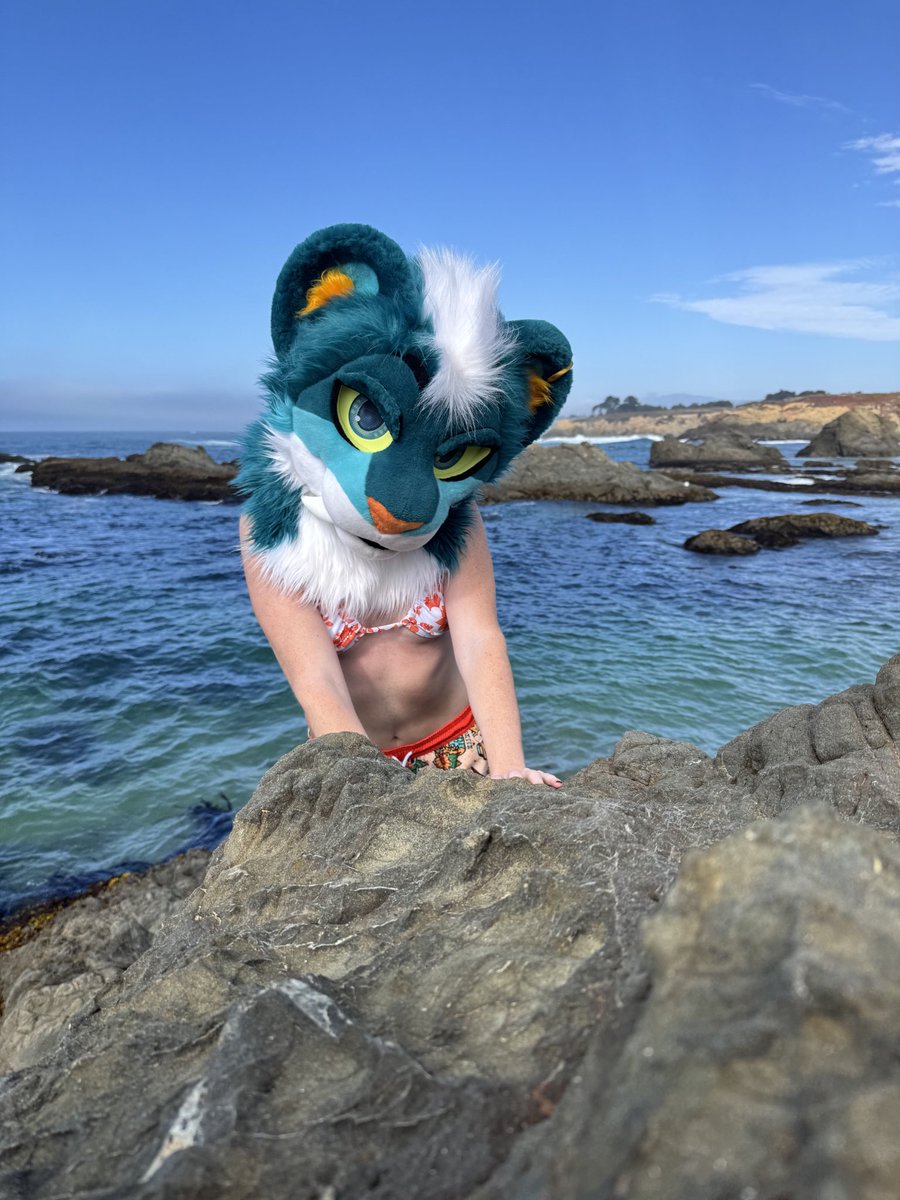 The ocean is me colored!🐟💙