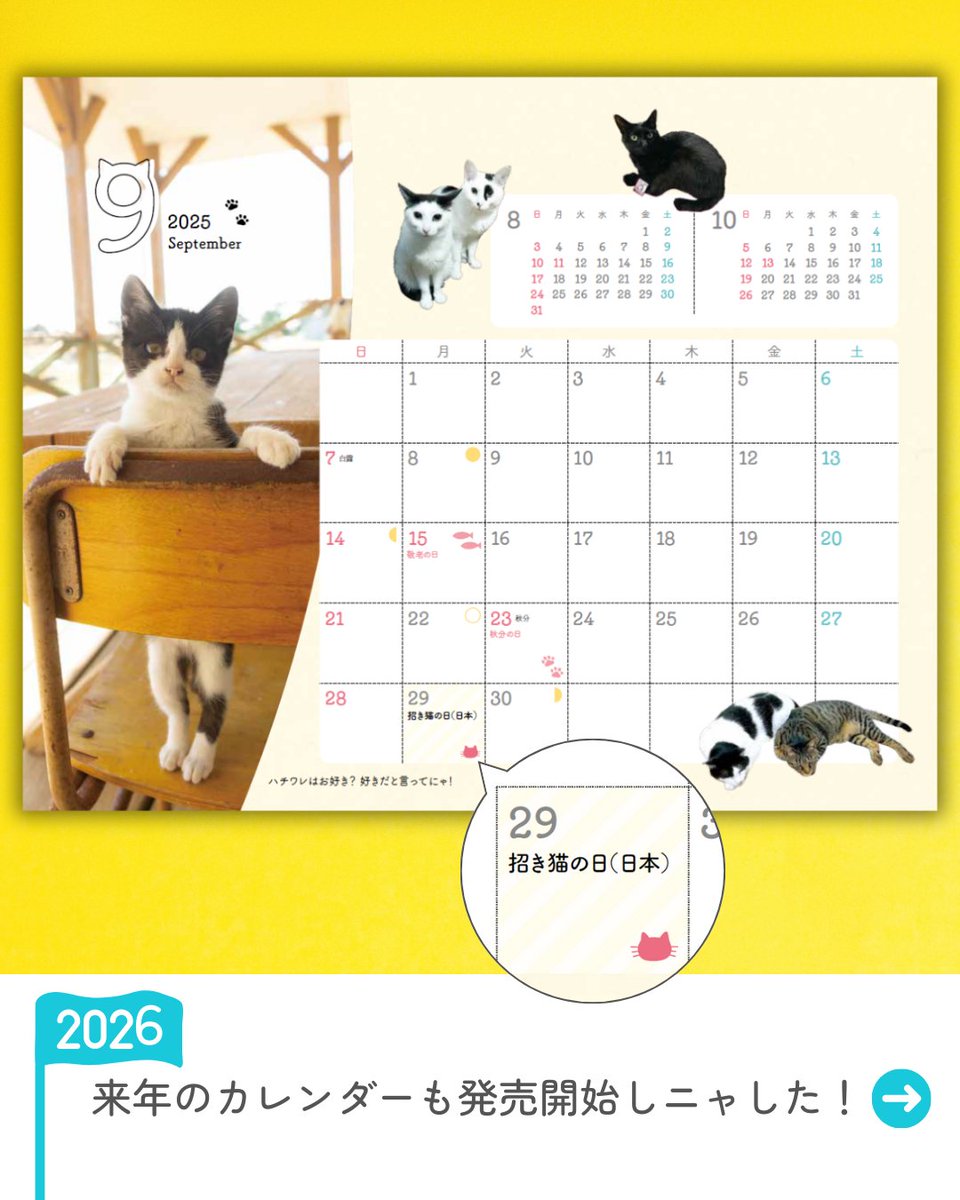 mapple_nyapple_'s tweet photo. 今日9月29日は招き猫の日🐈
#招き猫の日 #にゃっぷるカレンダー https://t.co/HHyFls90rM