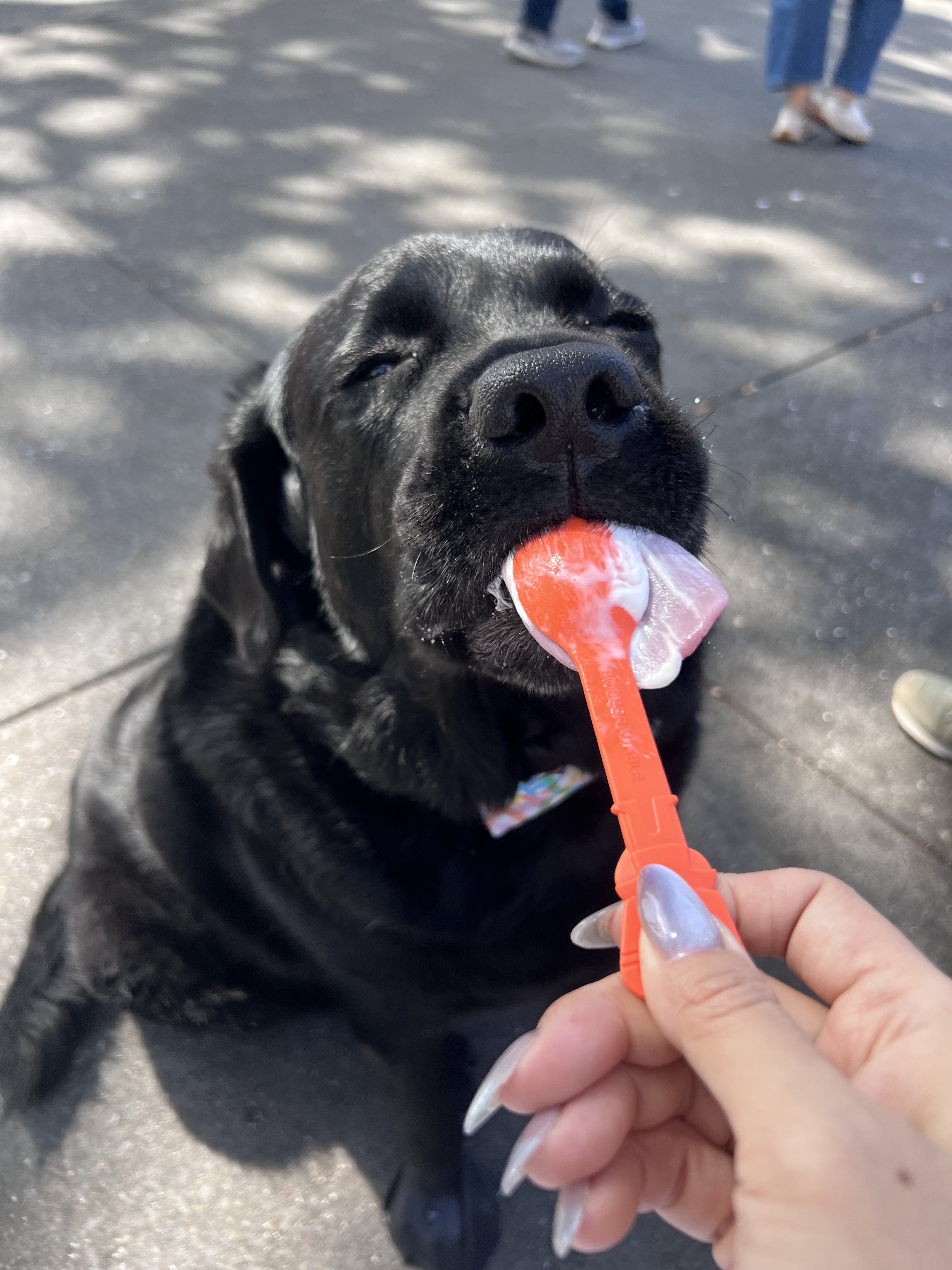 ナムコ (@na257) / X